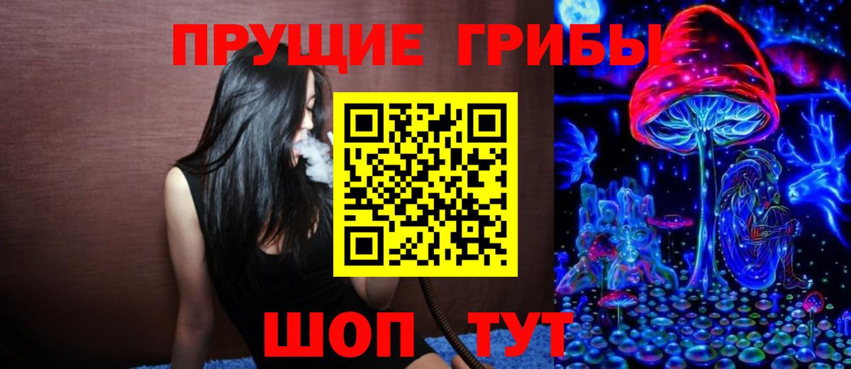 Псилоцибиновые грибы GOLDEN TEACHER  Вход с VPN  Псилоцибиновые грибы GOLDEN TEACHER  Уссурийск 
