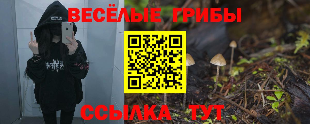Галлюциногенные грибы прущие грибы Уссурийск